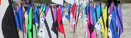 Plusieurs cerfs-volants colorés installés sur la plage